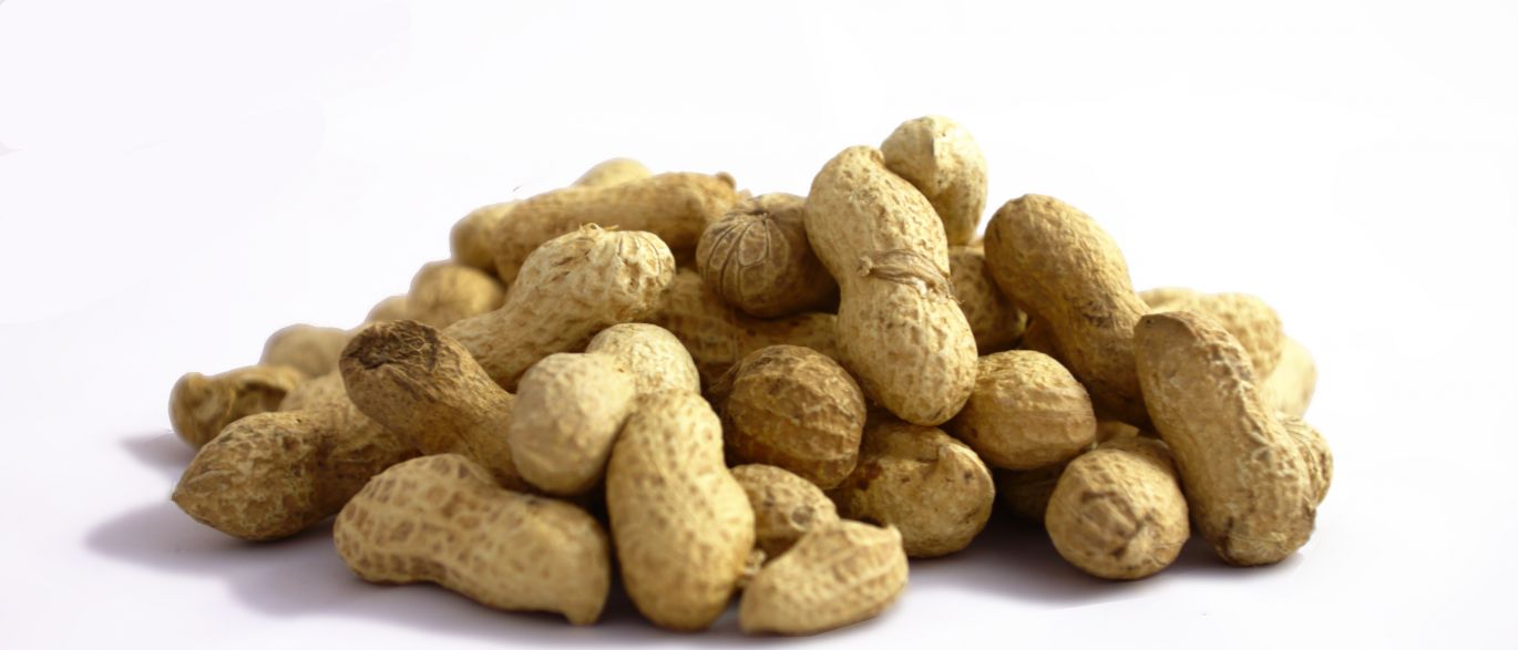 5 benefícios dos amendoins