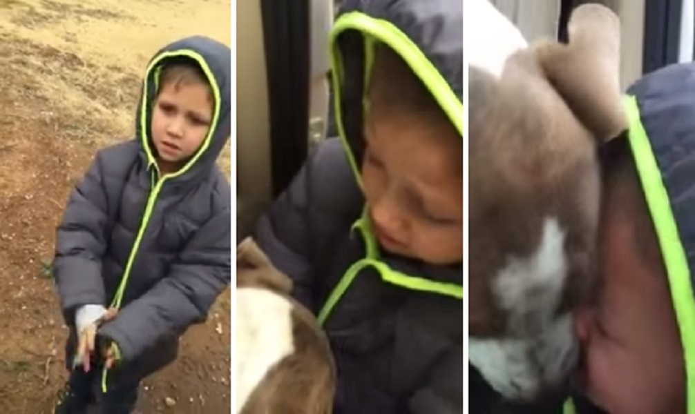 Encontro emocionado de um menino com o cão perdido