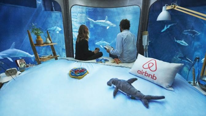 Aquário dos Tubarões Airbnb