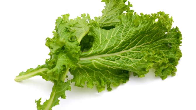 1. folhas de mostarda