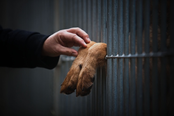 8 notícias que precisa de saber esta manhã (11/04/2016)