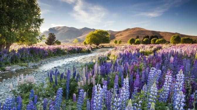 Primeiro Classificado Vencedor Geral Richard Bloom