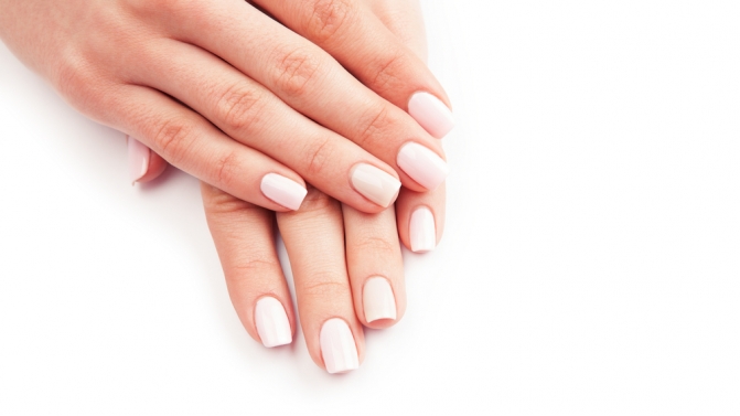 shutterstock_260029484