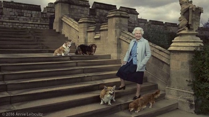 A monarco junto dos seus cães Willow, Holly, Candy e Vulcan