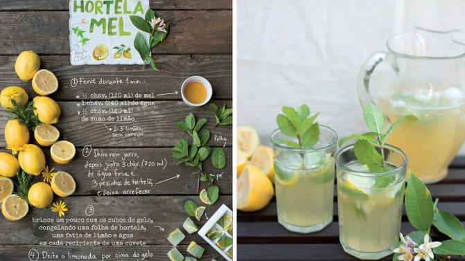 No livro de Erin Gleeson encontramos várias receitas de bebidas frescas para o verão