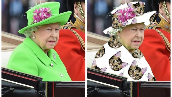 Casaco verde da Rainha inspirou internautas