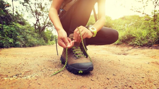 shutterstock_340523261