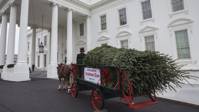First Lady Michelle Obama welcomes the arrival of the Official White House Christmas Tree