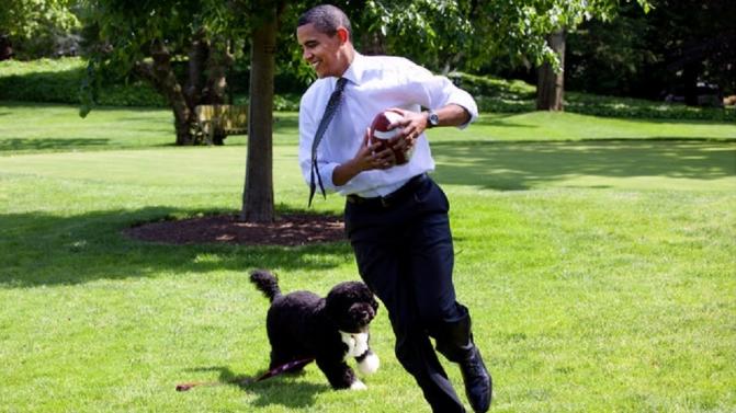 Obama On The South Lawn