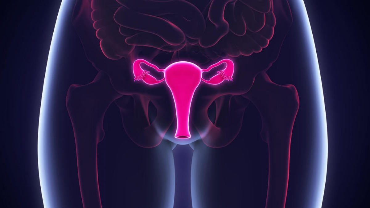 shutterstock_611064566