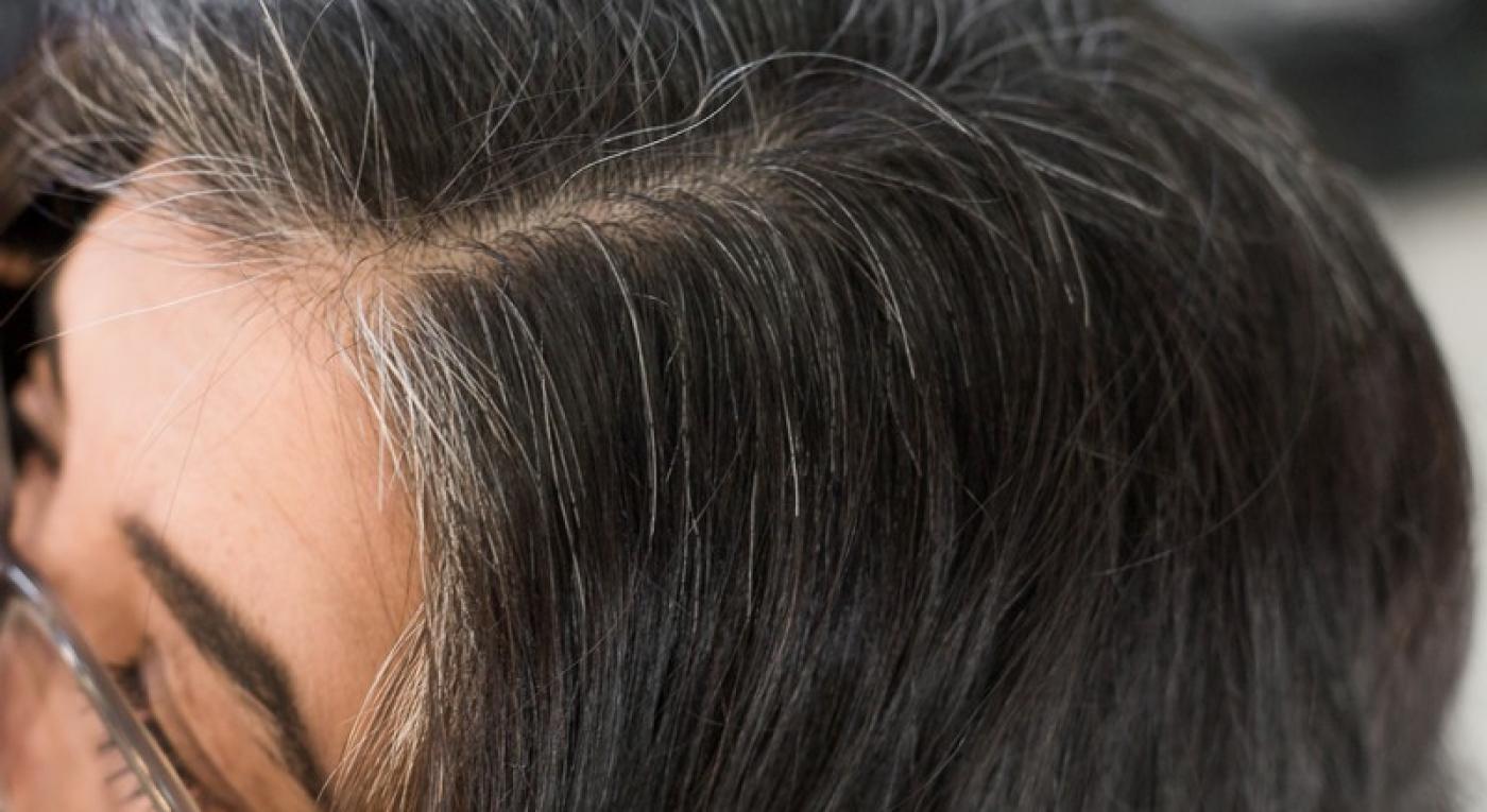 ©2017_Cabelos_Brancos-6090