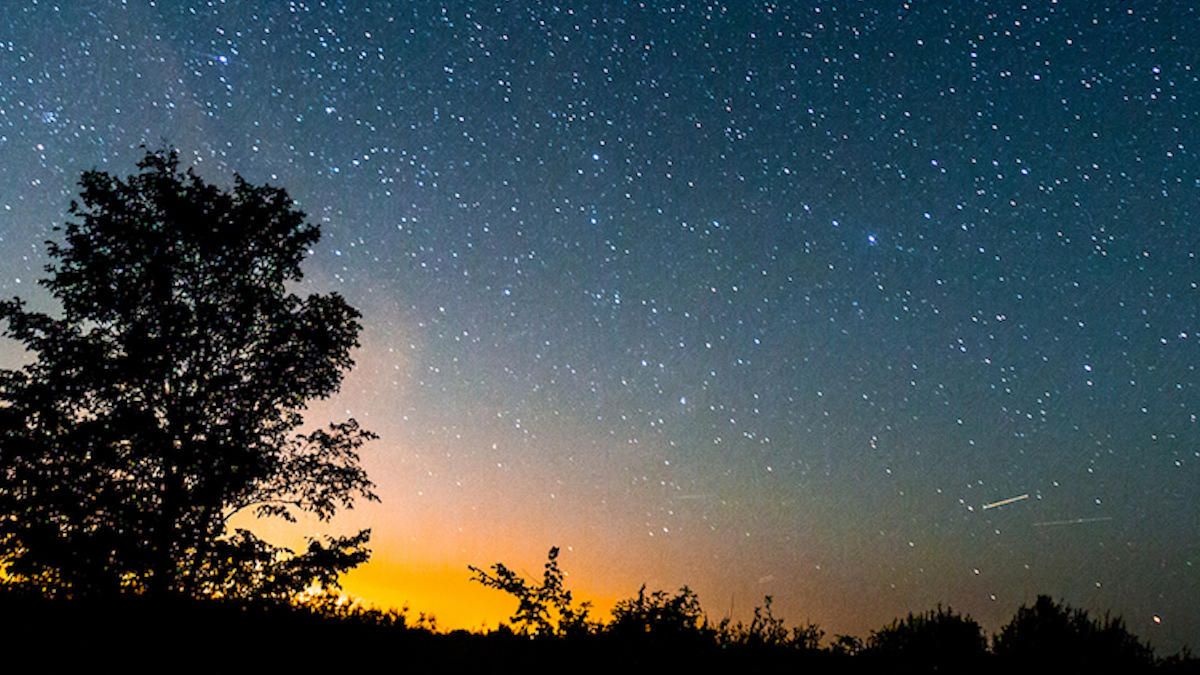 shutterstock_215175898