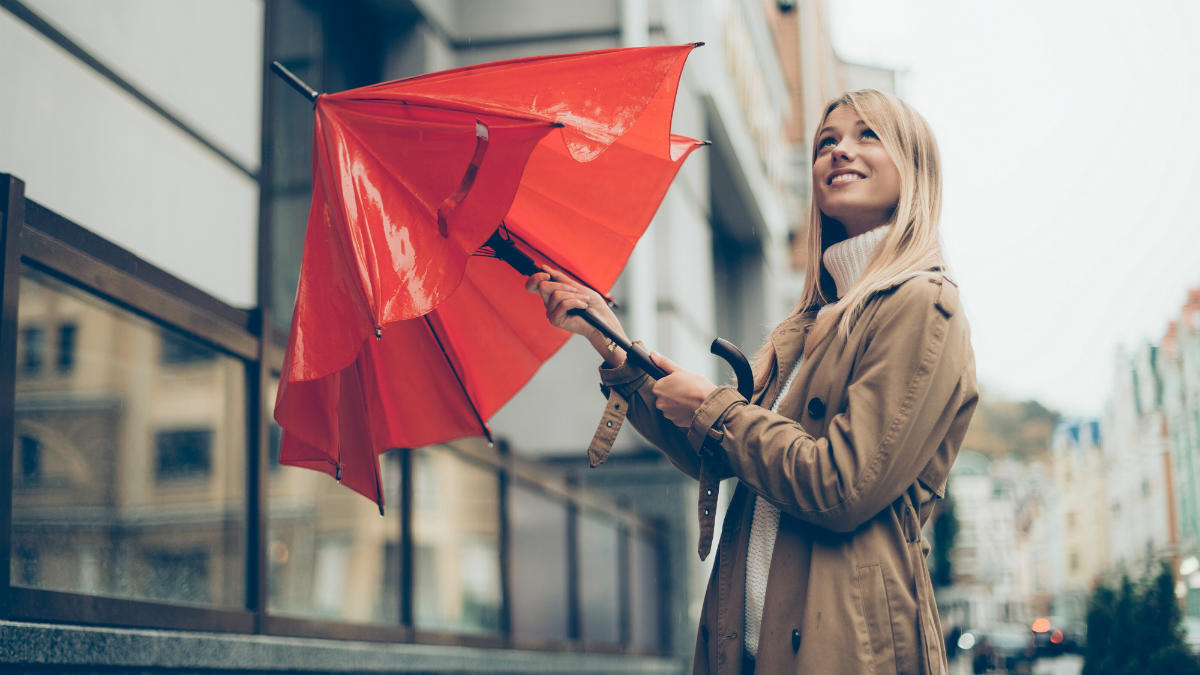 shutterstock_502748641+