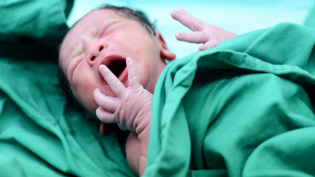 shutterstock_548487937+