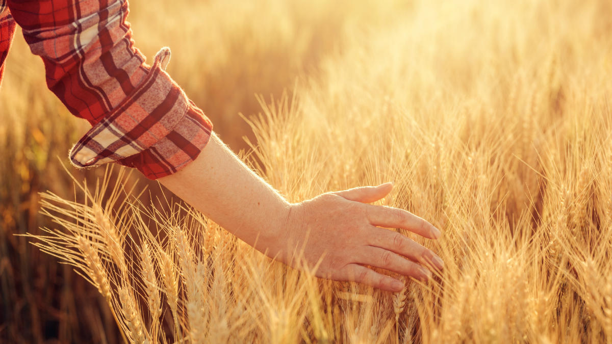 agricultura shutterstock