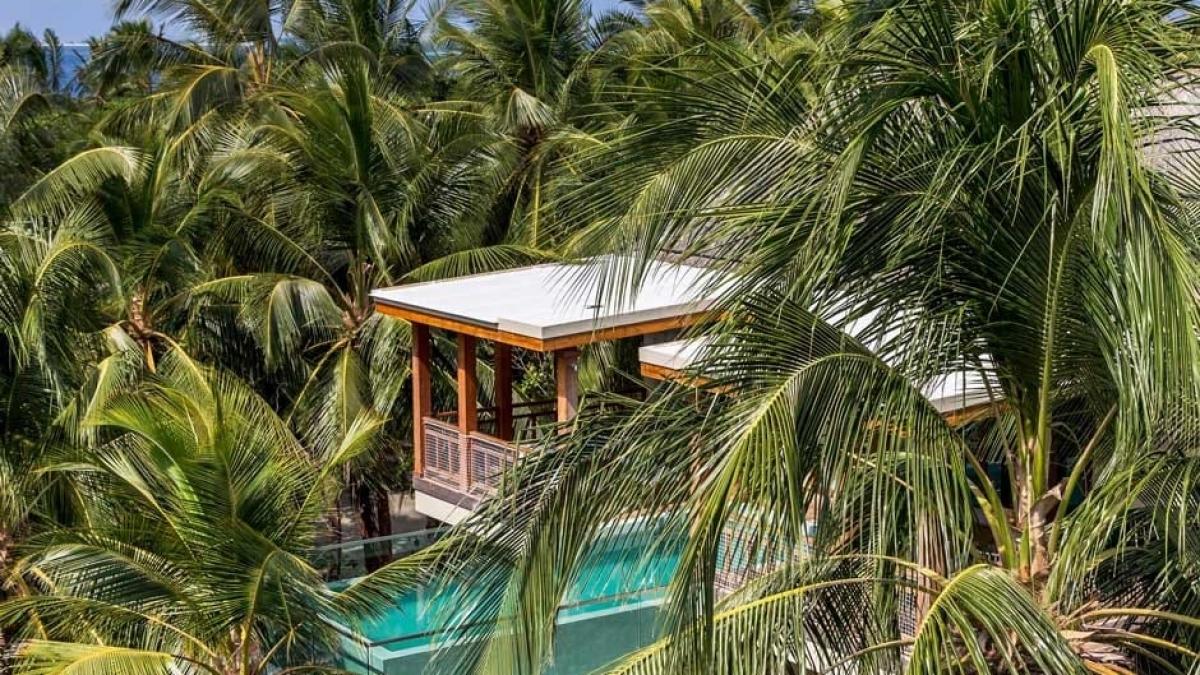 Wellness-Tree-House-_3_-_2_