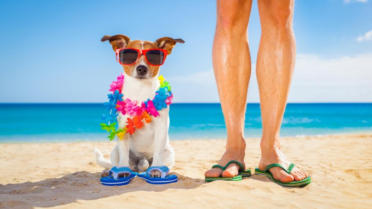 shutterstock_281773880