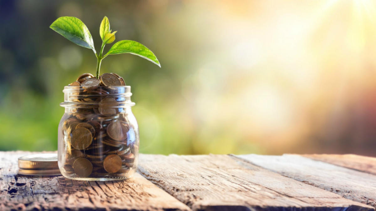 poupança shuttertsock