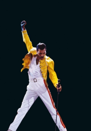 freddie