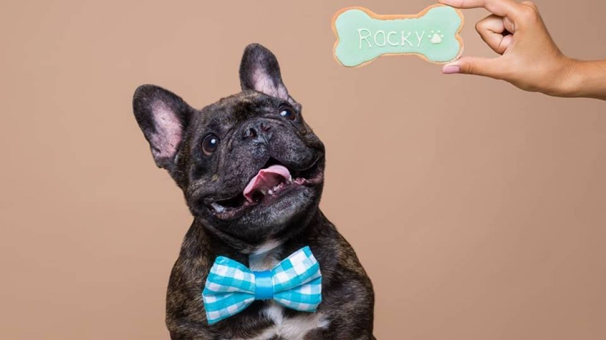 42696350_2253309904902281_871327110625492992_n