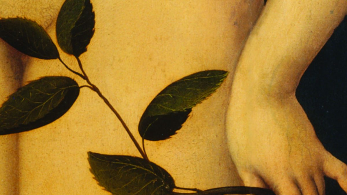 9789897771439 ContosEroticosDoVelhoTestamento Deana Barroqueiro - Capa em alta