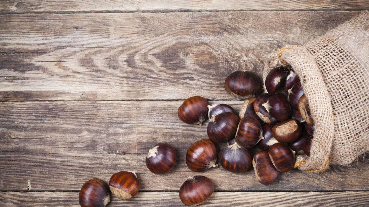 Fresh chestnuts in sack bag