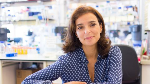 Maria Mota cientista portuguesa prémio