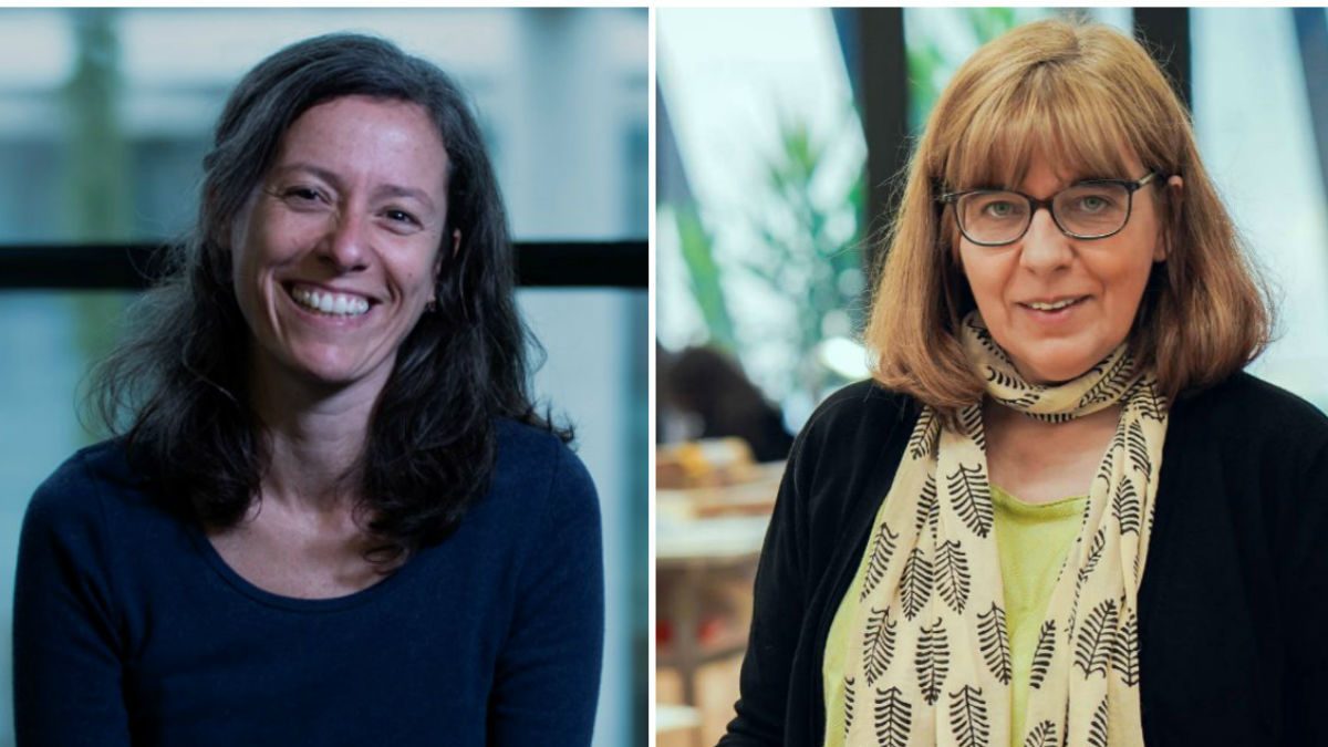 collage investigadoras