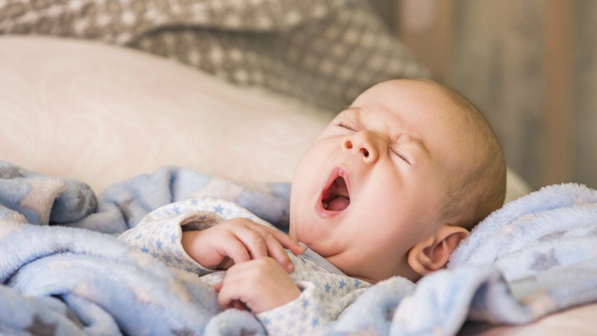 bebeé sono shutterstock