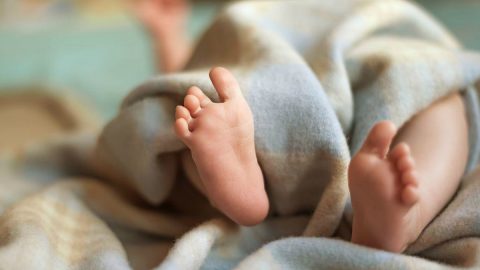 governo abono conciliação