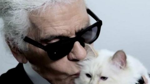 A gata de Karl Lagerfeld, Choupette herdeira