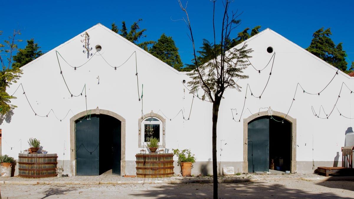 Quinta da Boa Esperança_resultado