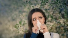 Níveis de polenes vão disparar em todo o territ´roio nacional, na próxima semana [Fotografia: Shutterstock]