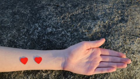 Dar sangue Dia nacional dador sangue