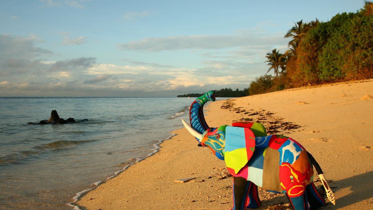 Elephant(1)_1200_800 Elephant(1)_1200_800