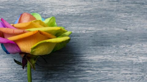 [Fotografia: Shutterstock]