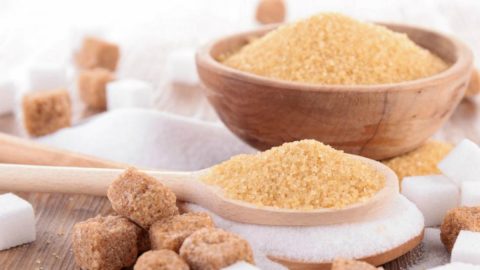 açúcar crianças adolescentes estudo Porto