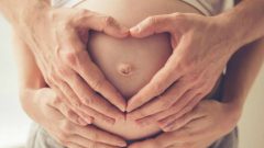 barriga de aluguer chumbo TC tribunal Constitucional