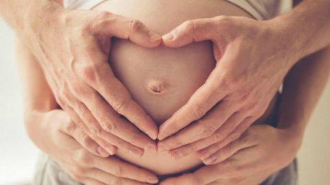 barriga de aluguer chumbo TC tribunal Constitucional