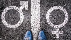 [Fotografia: Shutterstock]