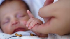 [Fotografia: iStock]