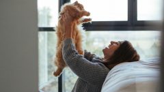 aminais mulheres homens empatia