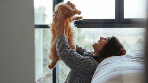 aminais mulheres homens empatia