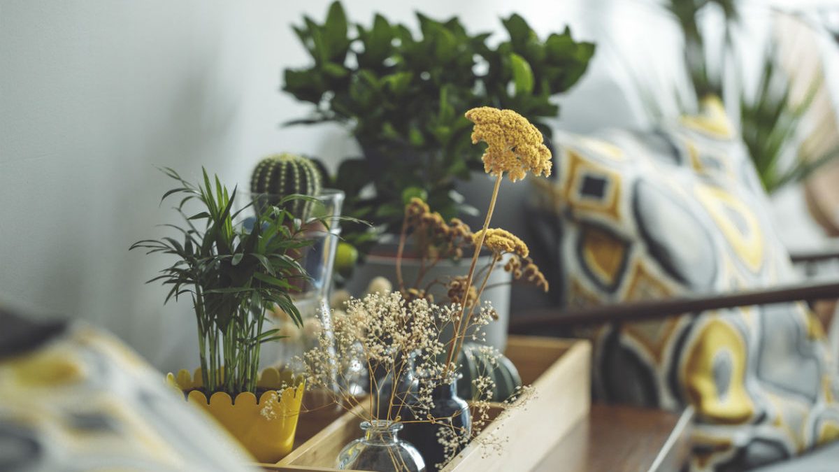 iStock-1142654098decoraao