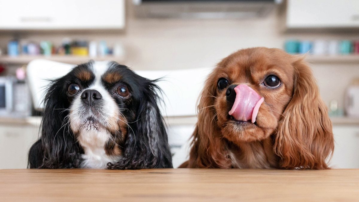 iStock-1126117078 (1)