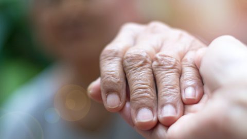 idoso casa de apoio violência doméstica