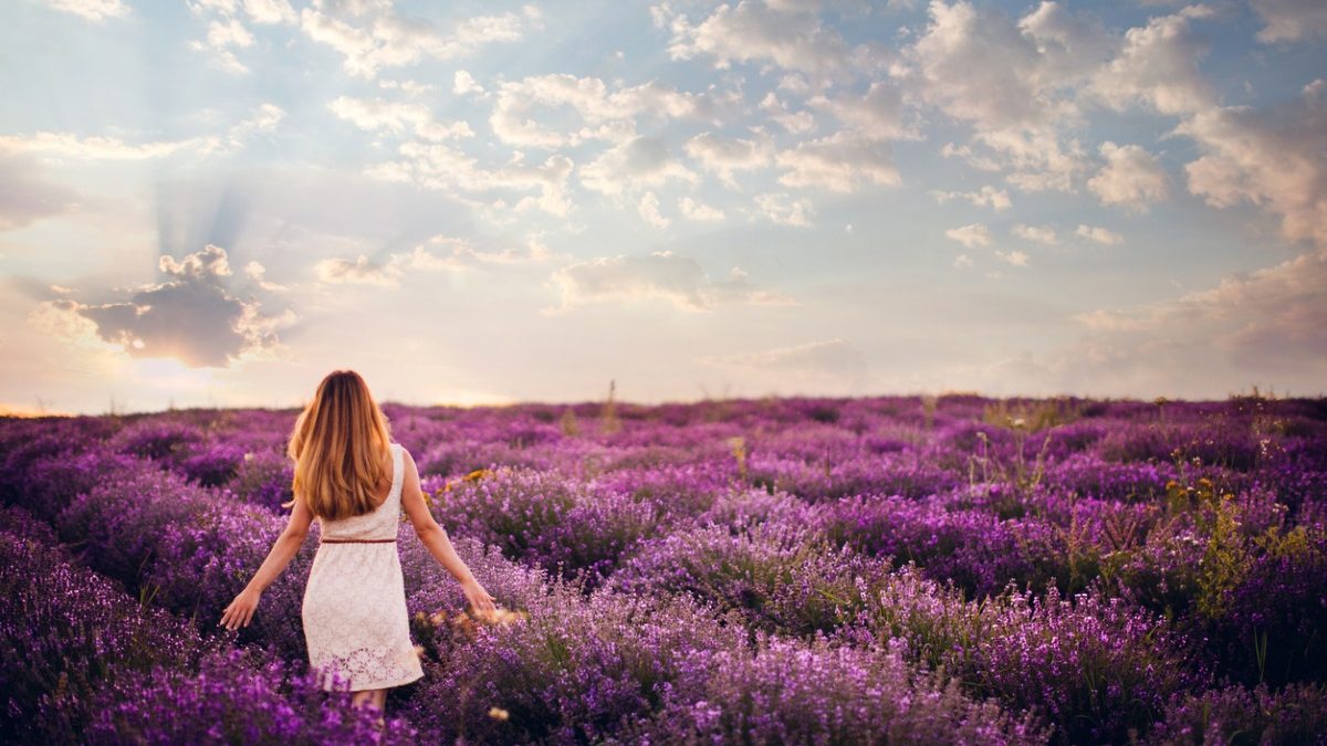 iStock-486426022 (1)