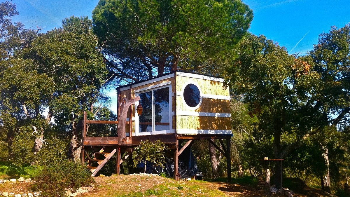 front Tree home 8235571