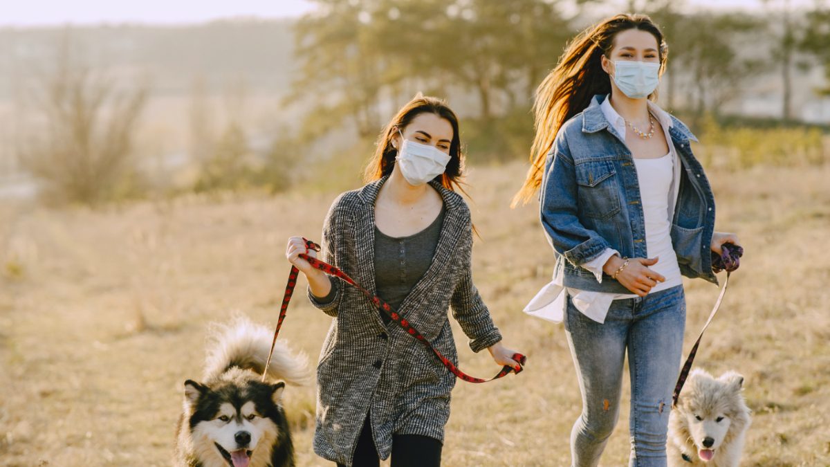 pexels-gustavo-fring-4148862 (1)