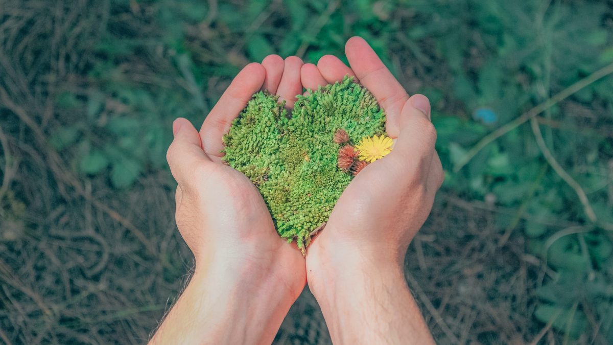 pexels-min-an-1230157(1)